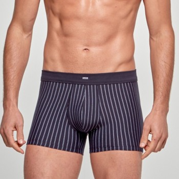 Calzoncillos Impetus Boxer Cotton Stretch 1226020