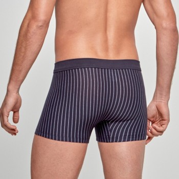 Calzoncillos Impetus Boxer Cotton Stretch 1226020 2