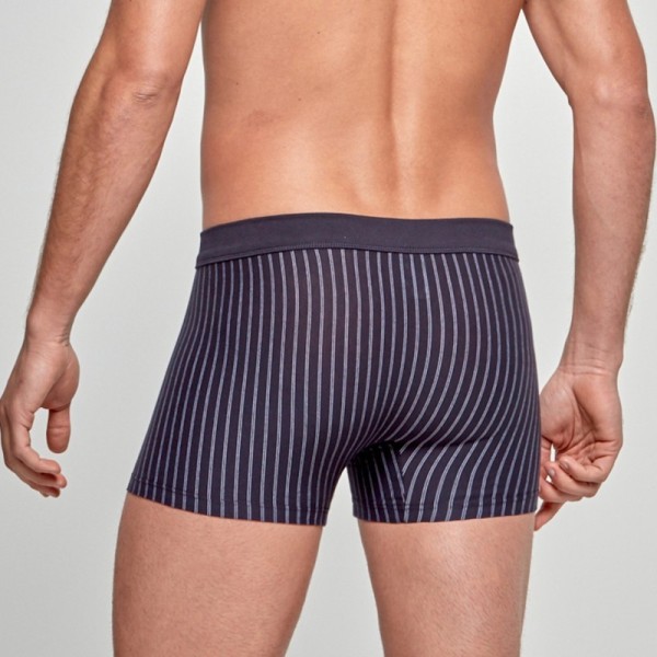 Calzoncillos Impetus Boxer Cotton Stretch 1226020