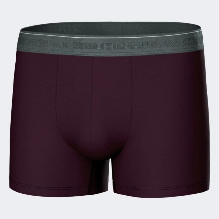 Calçotets Boxer Impetus Pack 3 Bio Cotton 1221P02P3