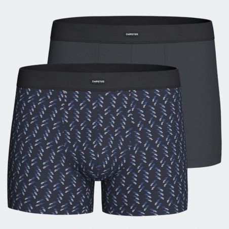 Calzoncillos Boxer Impetus IM1223N64P2