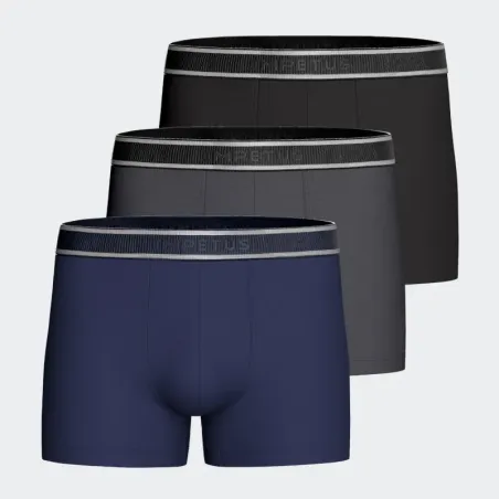 Pack 3 bóxers Impetus Cotton Stretch P230021 | BONET
