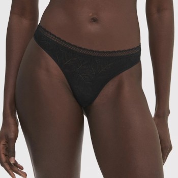 Tanga Simone Pérèle Comete 12S710