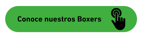 Enlace a los calzoncillos Boxer de lencería Bonet