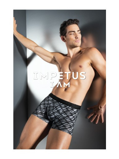 Boxer Impetus I AM