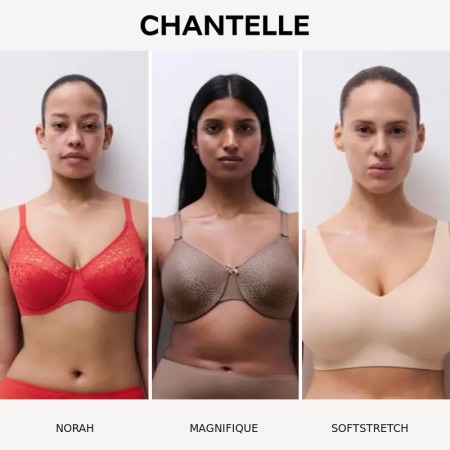 Sujetadores Chantelle: Norah, Magnifique o SoftStretch, ¿qué modelo elegir?